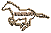 CLICK HERE FOR THUNDERS PAGE